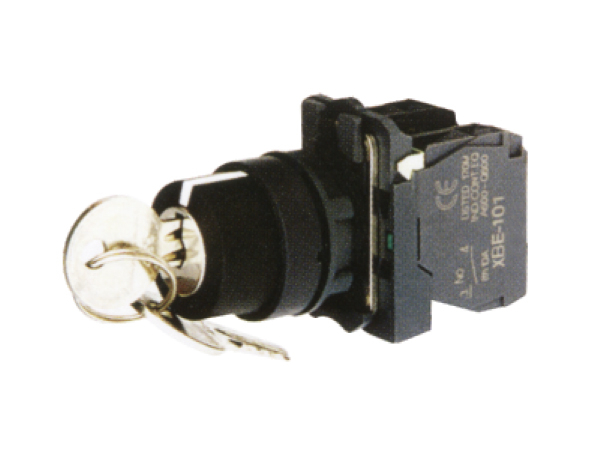 XB5-AG21~XB5-AG53 Push Button switch