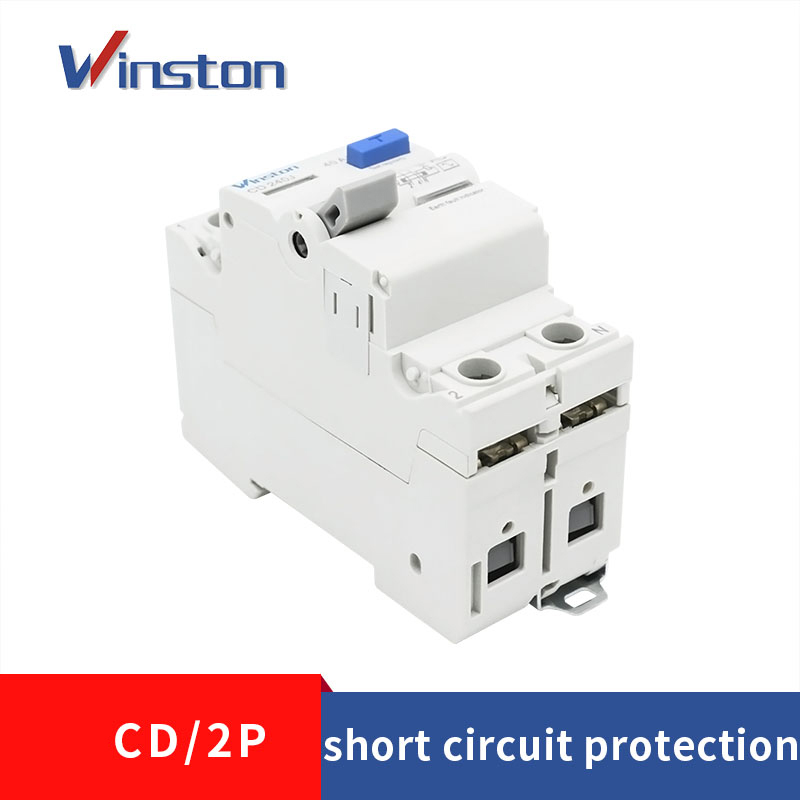 CD 2P 6-63A 230V 30MA 100MA RCCB Mini Leakage Circuit Breaker