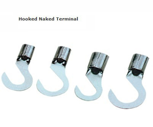 Hooked Naked Terminal