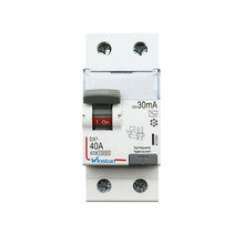 DX40A 2P 6-100A 230V 30MA 100MA RCCB Mini Leakage Circuit Breaker