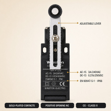 Adjustable Ball Lever Limit Switches IP66 Micro Limit Switch for Automatic Door Position Control